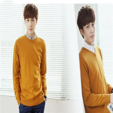 Men's  Woolen Sweater Turtleneck Thin Sweater